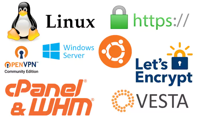 Ecommerce Hosting Cpanel Hosting