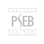 Web Design Karachi | Web Development in Pakistan hostrings-partner-2